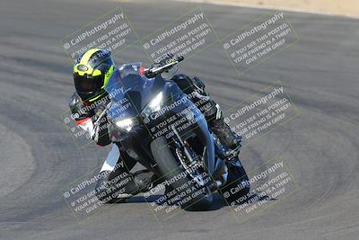 media/Dec-18-2022-SoCal Trackdays (Sun) [[8099a50955]]/Turns 9 and 10 Set 1 (1045am)/